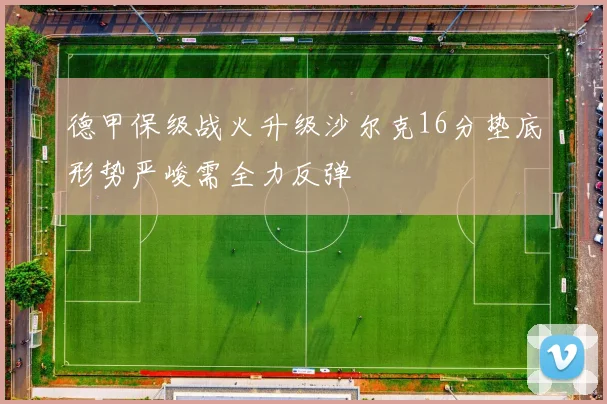 德甲保级战火升级沙尔克16分垫底形势严峻需全力反弹